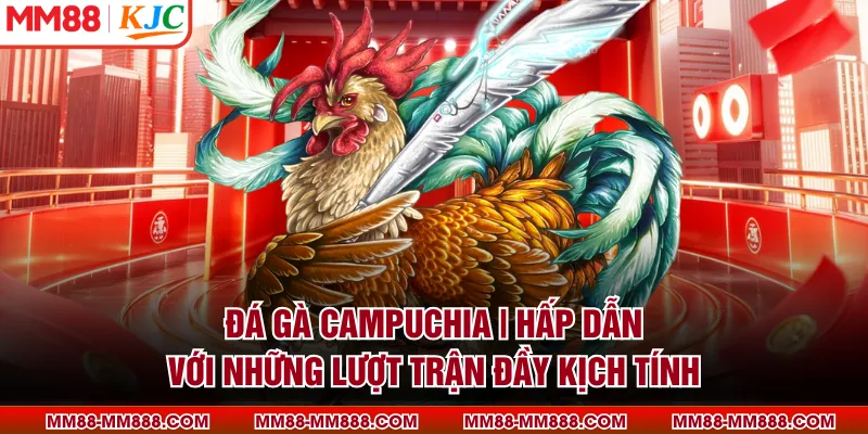 Đá Gà Campuchia | Hấp Dẫn Với Những Lượt Trận Đầy Kịch Tính